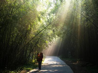 洛阳重渡沟景区好玩吗 重渡沟自然风景区