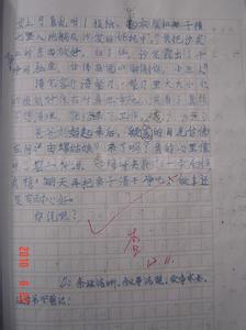 做家务作文300字 做家务作文300字范文