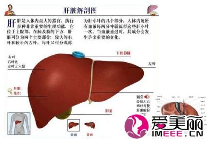 肝脏有毒素的表现 肝脏有毒素的4大表现