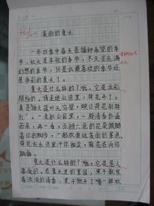 洗衣服作文300 关于洗衣服的300字小学作文