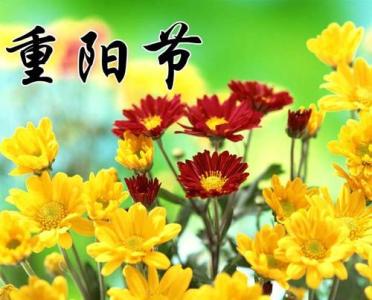 重阳节祝福语大全 2015重阳节温暖祝福大全