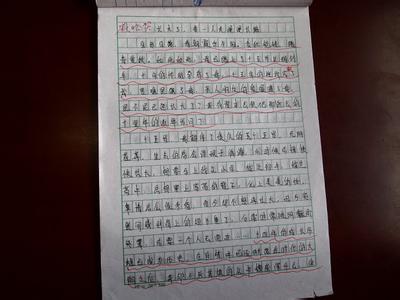 关于学习做饭的作文100字