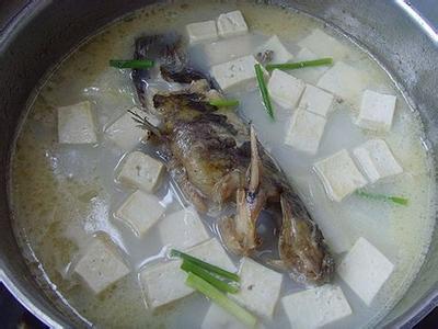 嘎鱼炖豆腐 烹饪嘎鱼炖豆腐的方法