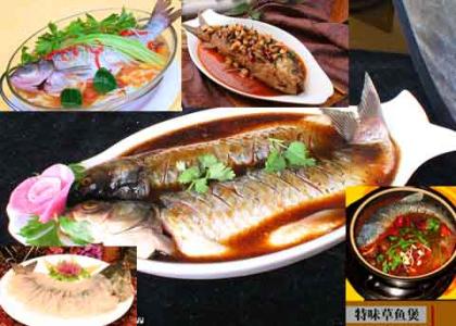 .cn草鱼的烹饪 草鱼的4种烹饪方法