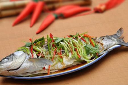 农家炖草鱼的做法大全 草鱼的烹饪方法