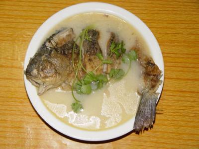 生汆丸子汤的做法 活鲫鱼汆汤做法