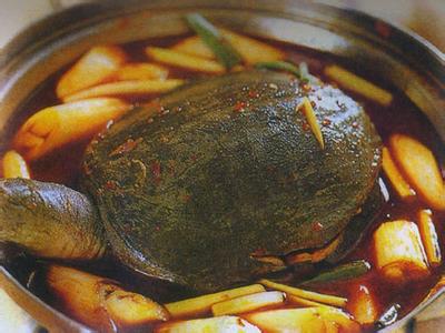 甲鱼烹饪方法 甲鱼的烹饪方法_甲鱼要怎么烹饪