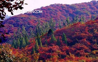 十月份去哪里旅游好 2013十月份去哪里旅游好