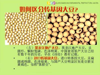 中国转基因食品黑名单 转基因食品如何识别