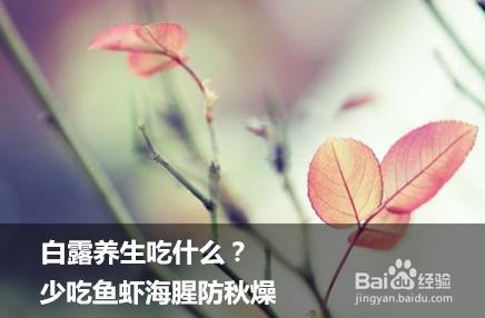 白露节气 白露节气 如何做好“补露”工作