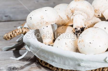白蘑菇里面有一圈黑色 白蘑菇要怎么洗