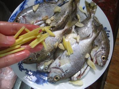 干海鱼的烹饪方法 海鱼的烹饪方法