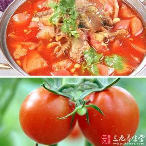 西红柿怎么做好吃 西红柿好吃的烹饪方法有哪些