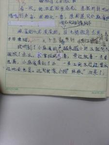 一次难忘的购物经历 一次购物的难忘经历小学作文