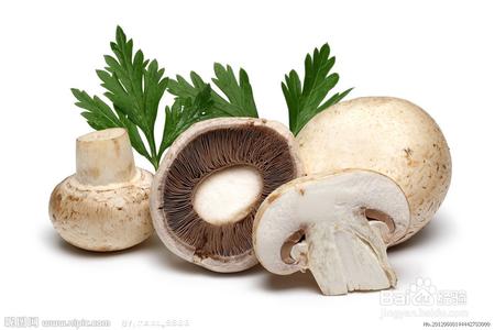 蘑菇的功效与作用 蘑菇的三个健康功效要知道