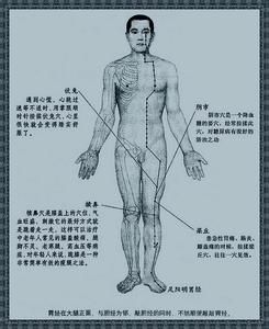 性疾病的潜伏期 潜伏在膀胱经上的疾病