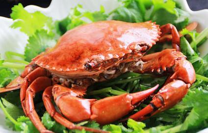螃蟹不能和什么一起吃 蟹怎么做好吃 螃蟹不能和什么一起吃