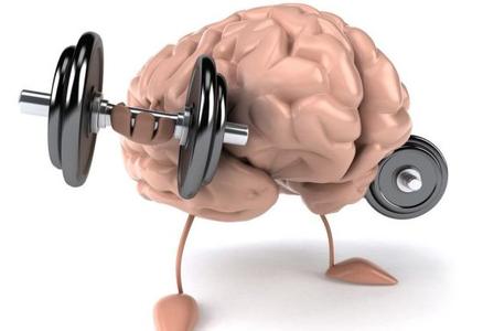 大脑活跃期 五个小方法让大脑活跃起来
