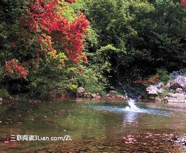 五一福建周边游 五一福建周边游--龙岩梅花山