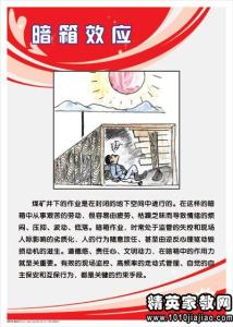 堵塞漏洞 矿机电科反“三违”堵漏洞总结