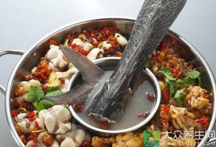 鸭嘴鱼汤的做法 鸭嘴鱼烹饪方法