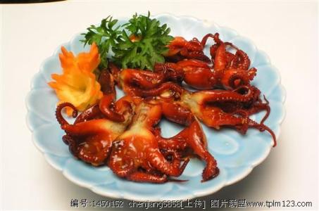 章鱼的烹饪技巧 烹饪章鱼的菜谱