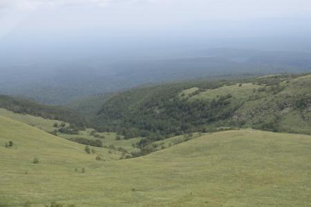 高山苔原带 吉林高山苔原景观带介绍