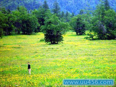 高山花园 吉林南麓高山花园