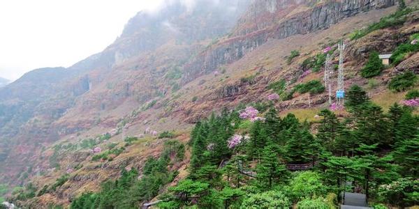 云南轿子雪山风景区 昆明轿子雪山风景区