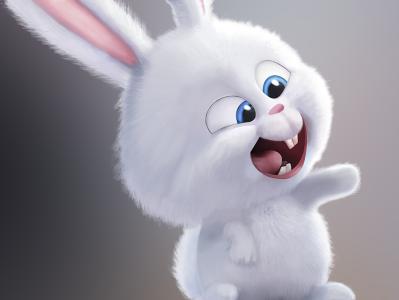 可爱的小白兔100字 可爱的小白兔