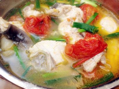 番茄鱼汤的做法大全 番茄鱼片汤的做法