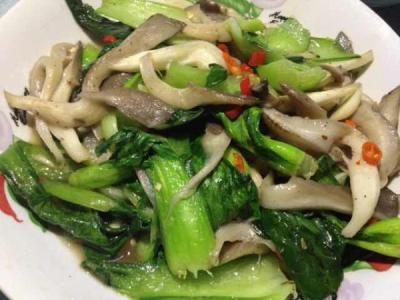 青菜炒蘑菇的家常做法 蘑菇青菜