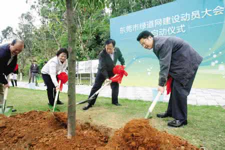 父亲的植树节阅读答案 植树并不全等于环保阅读答案