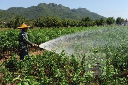 苗木浇水方案 苗木浇水的方式