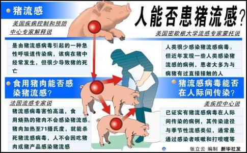 人感染禽流感症状 感染猪流感病毒的症状