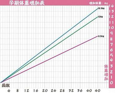 孕期体重增长规律 孕期体重增长的七大规律