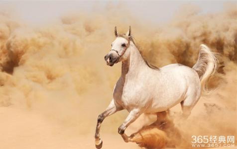 励志故事：沙漠里的千里马