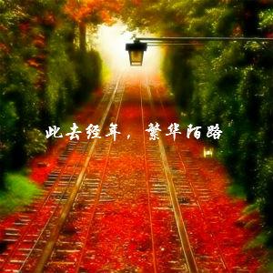 此去经年陌路 此去经年，繁华陌路