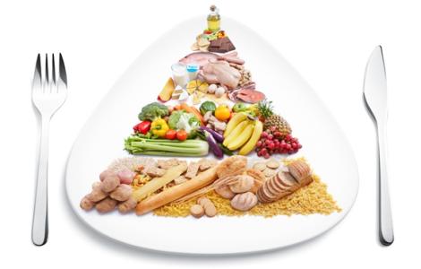 饮食营养与健康论文 饮食营养与身体健康的论文
