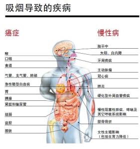 抽烟对身体的危害 抽烟对身体的危害有什么