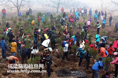 古代植树 古代植树活动