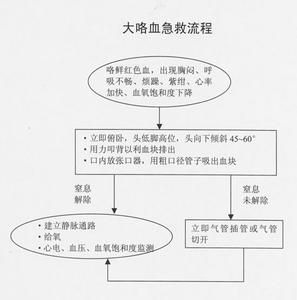 大咯血的急救流程图 大咯血的急救流程