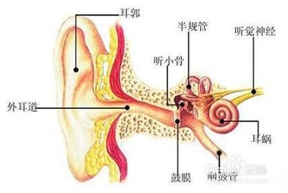 中耳炎会自愈吗 中耳炎怎么治疗
