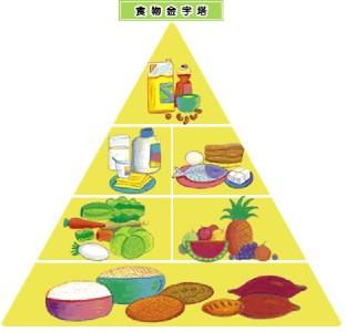 儿童饮食营养与健康 关于儿童的健康饮食分析(3)
