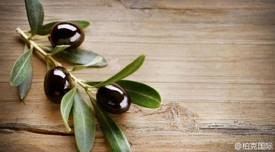 预防老年痴呆的方法 橄榄可防老年痴呆