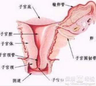 急性盆腔炎原因及治疗 如何治疗盆腔炎_引起盆腔炎是什么原因