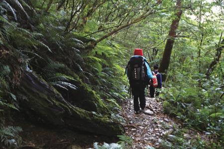 爬山技巧 让你安全爬山的技巧