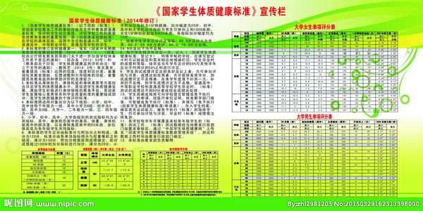 学生体质健康实施方案 国家学生体质健康标准实施方案