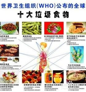 营养饮食与健康的关系 饮食与健康的关系论文