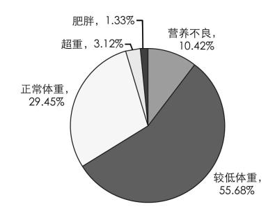 大学生饮食调查报告 大学生健康饮食调查报告(2)